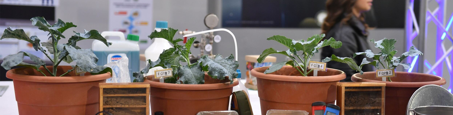 ambito agraria
